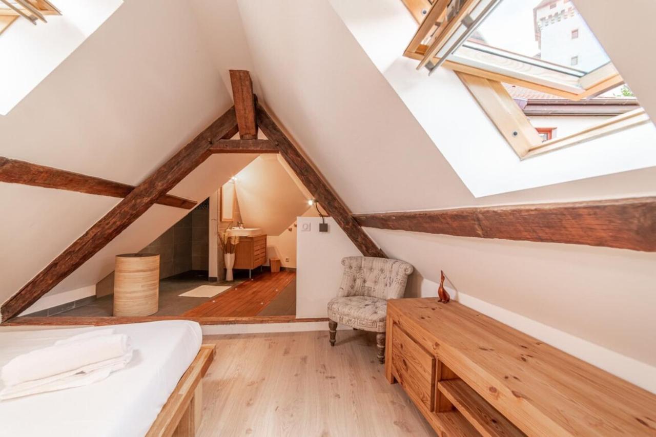 Escale Annecienne Furnished Flat Apartment Annecy Bagian luar foto